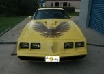 058_Trans_Am_81_amarelo_01.jpg