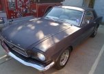 024_Mustang_04.JPG
