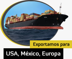 Exporta��o de produtos e despacho aduaneiro de mercadorias para os EUA, M�xico e Europa.